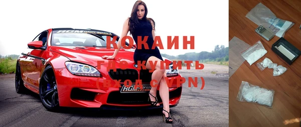 прущие грибы Дмитров