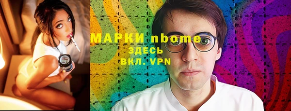 мдпв Гусев