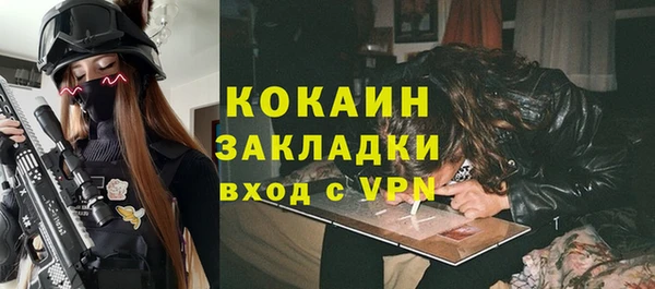 дмт Дмитриев