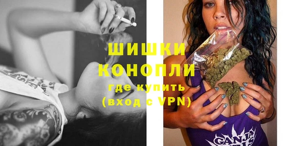 прущие грибы Дмитров