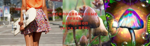 прущие грибы Дмитров