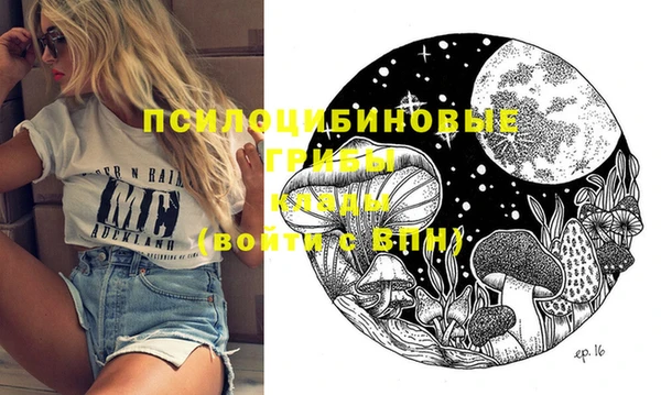 дмт Дмитриев