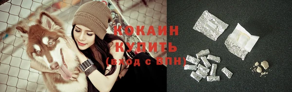 PSILOCYBIN Покровск